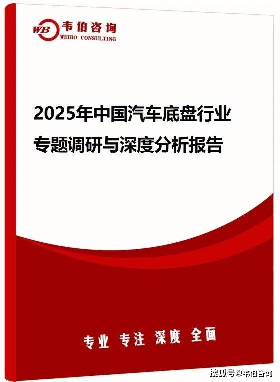 2025-2031年中国干热岩型地热资源行业前景研究与发展前景报告